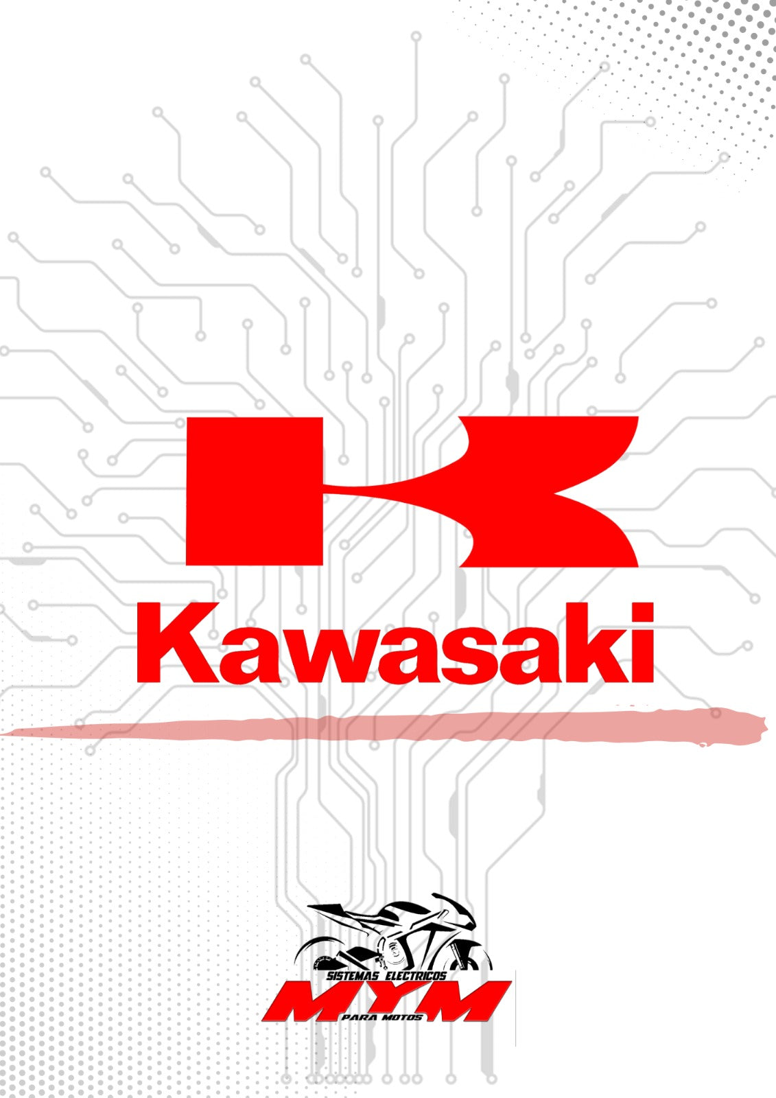 Sistemas Eléctricos Kawasaki