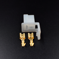 2 VIAS PITO CON PIN UÑA + TERMINALES