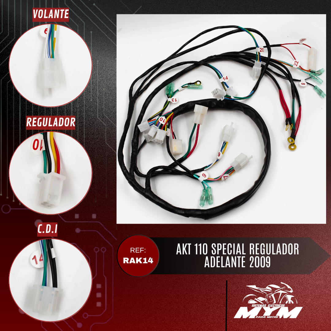 AKT 110 SPECIAL REGULADOR ADELANTE 2009