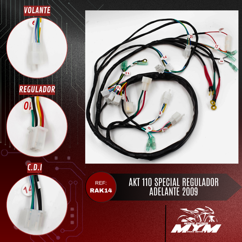 AKT 110 SPECIAL REGULADOR ADELANTE 2009