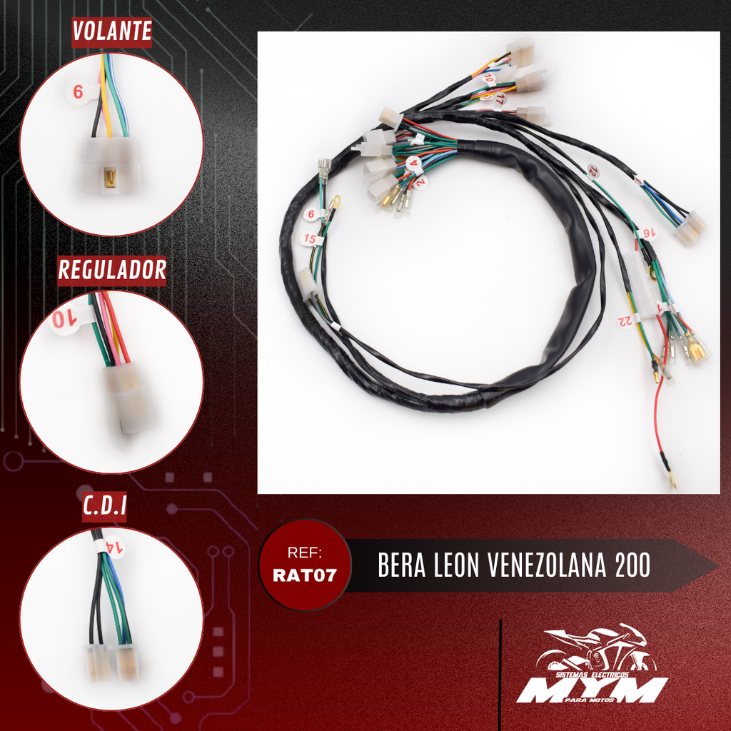 BERA LEON VENEZOLANA  200