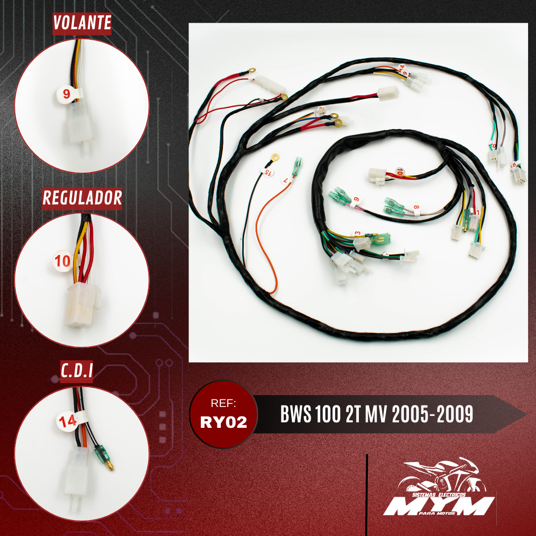 BWS 100 2T MODELO VIEJO