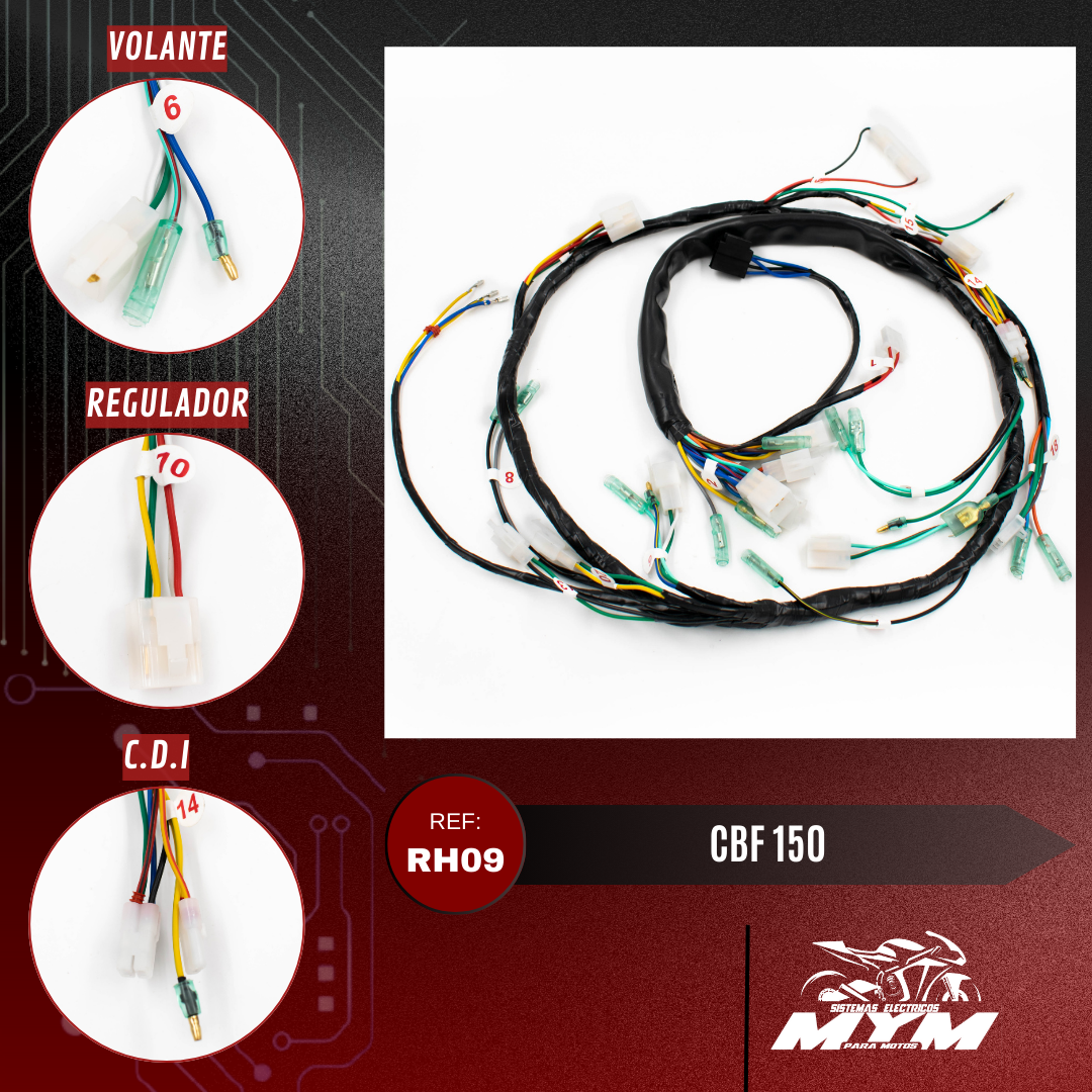 CBF 150 2008
