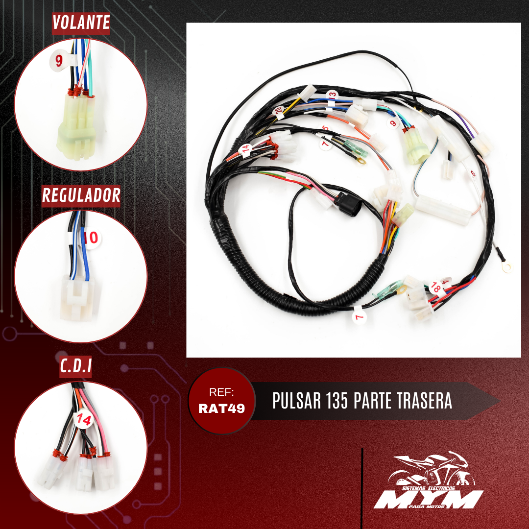 PULSAR 135 PARTE TRASERA