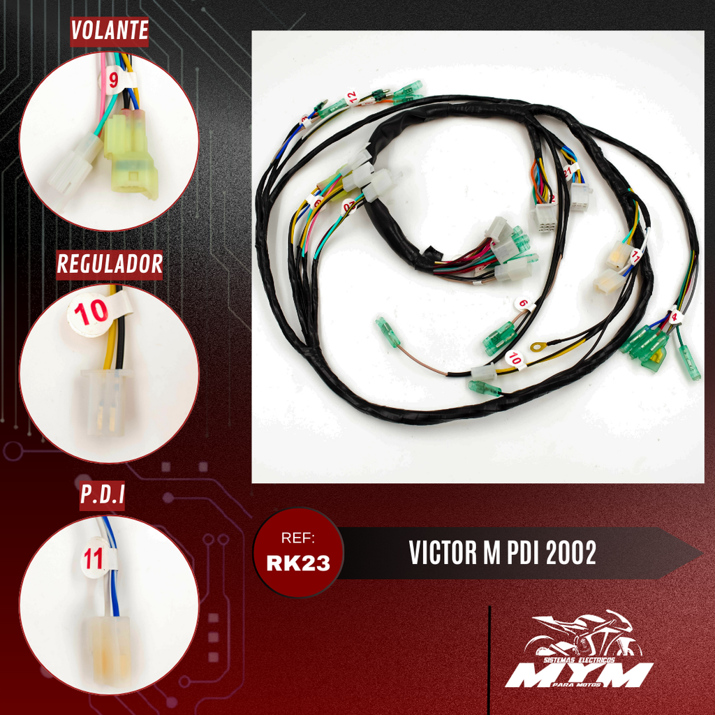 VICTOR M PDI