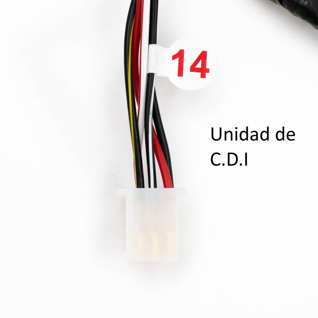 BOXER CT 2020 LUZ DIRECTA