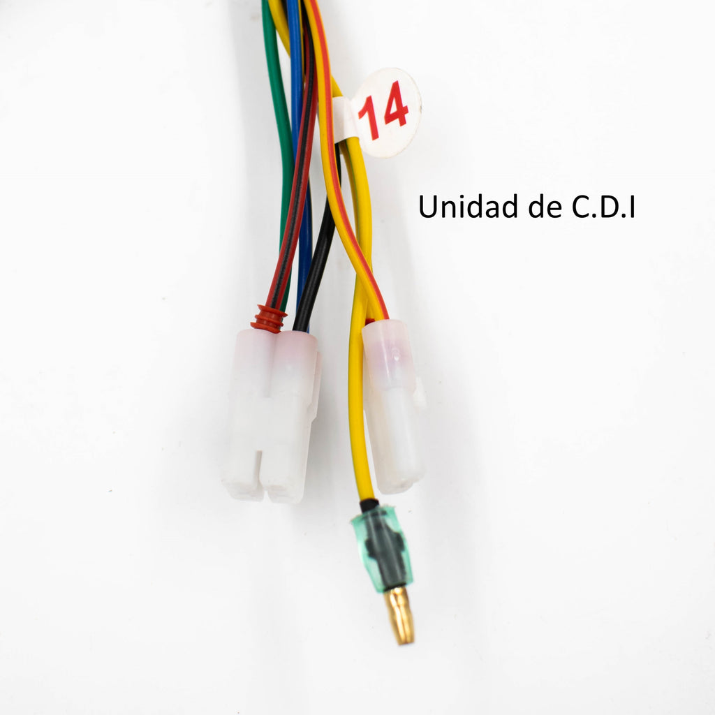 CBF 150 2008